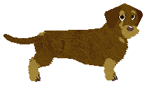 Profile image of Dragosani W MAŁYM CIELE WIELKI DUCH