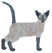 Cymophane Atmospheric Reversal — “Monsoon”