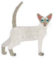 Cymophane 100 to 180 Degrees — “Typhoon”