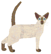 Cymophane Rapid Rotation — “Hurricane”