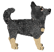 Profile image of Fleetrun Tasmanian Devil