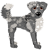 Sz/Poppyhill's Snow of Yesterday — “Haiku”