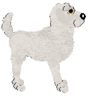 Silverfrost Crispy Crackling White — “Frostbite”