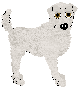 Profile image of Silverfrost Crispy Crackling White