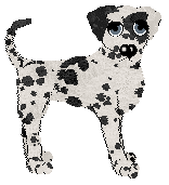 Chachke's Midnight Rendezvous — “Noir”