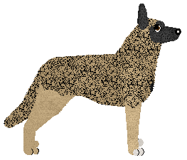 Aye Aye's Niezwyciężona of Guardian — “Igni”
