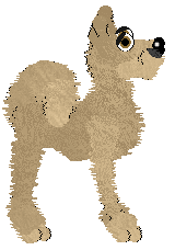 SeaGlass's A Dog Made of Straw — “Wara”