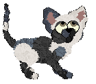 Profile image of SeaGlass's Lil Critter
