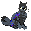 Profile image of SeaGlass's Shining, Shimmering, Splendid
