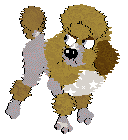 Profile image of SeaGlass's Lungs Full of Stardust