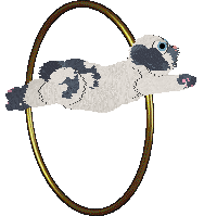 Hot Sauce at Twin Squeaks — “Hot Sauce”