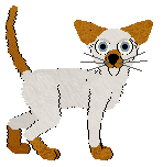 HK's Sleeping Bear — “Michigan”