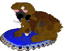 seta's Ends of the Earth — “Terra”