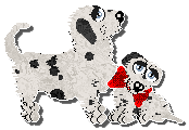 Profile image of King's Pintsize Dynamite at Perfume