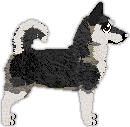 Profile image of Heirloom's Blaze in the Northern Sky