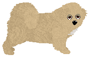 Profile image of Bear of Explosion