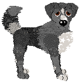 Sz's Sunken Lanes at Ephemera — “Holloways”