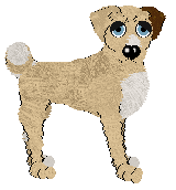 Chachke's Underlayer Of Goat at Ephemera — “Pashmina”