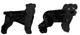 Profile image of Cyzar Czjernyja Zwezda