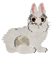 seta's Neverending Daydream at Foxglove — “Peace”