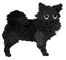 Profile image of Czeko's Mini Mini