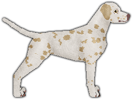 Profile image of Aubz Making Lemonade