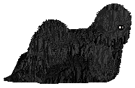 Profile image of Energizing BACK TO BLACK