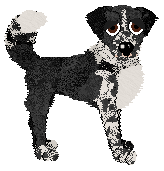 Cargo's She's Gunna Fly at Holiday Ranch — “Sly”