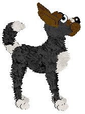 Medusa Plane of Existential Crisis — “Bruno”