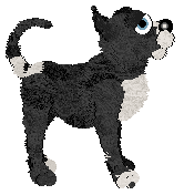 Profile image of Fiction's Pastel de Nata at Chachke