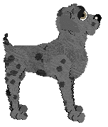 Chachke's Below The Streetline — “Thatch”