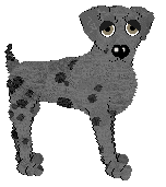 Chachke's Below The Streetline — “Thatch”