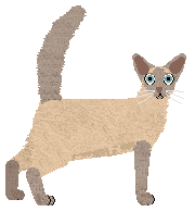 Fauvelle's Sands of Time — “Sandy”