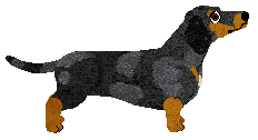 Dragosani JOJO RABBIT — “Lola”