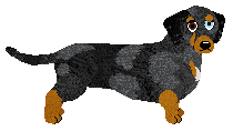 Profile image of Dragosani JOJO RABBIT