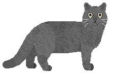 Profile image of Monarch's Nine Day Rule