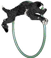 Pinto/Poppyhill's Drive to Survive — “Motorsport”