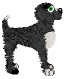 Profile image of Pinto/Poppyhill's Drive to Survive