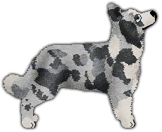 Profile image of Nocturn CYTHRYBLUS DIWEDD