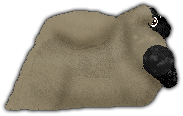 Profile image of Blizzard Wisdom of the East