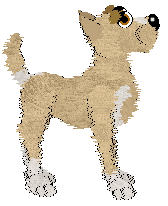 Witz's When the Time is Wrong — “Patricka”