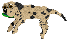 Chachke's Cherries by the River — “Birdie”