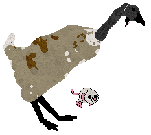 Bonk — “Bonk”