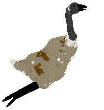 Bonk — “Bonk”