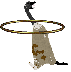 Profile image of Bonk