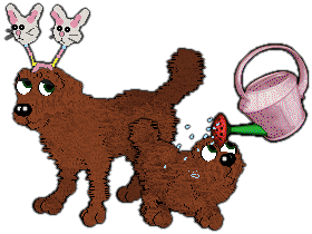 Profile image of Cargo/Witz's Saddle Up Anyway