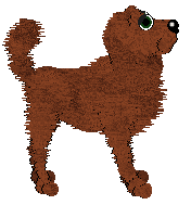 Cargo/Witz's Saddle Up Anyway — “Pony”