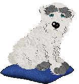 Pendragon's Little Mountain Goat — “Sasha”