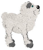 Pendragon's Little Mountain Goat — “Sasha”