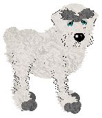 Pendragon's Little Mountain Goat — “Sasha”